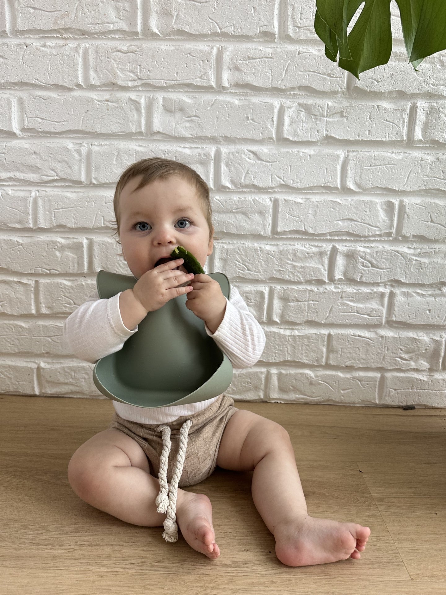 Bib Pistachio