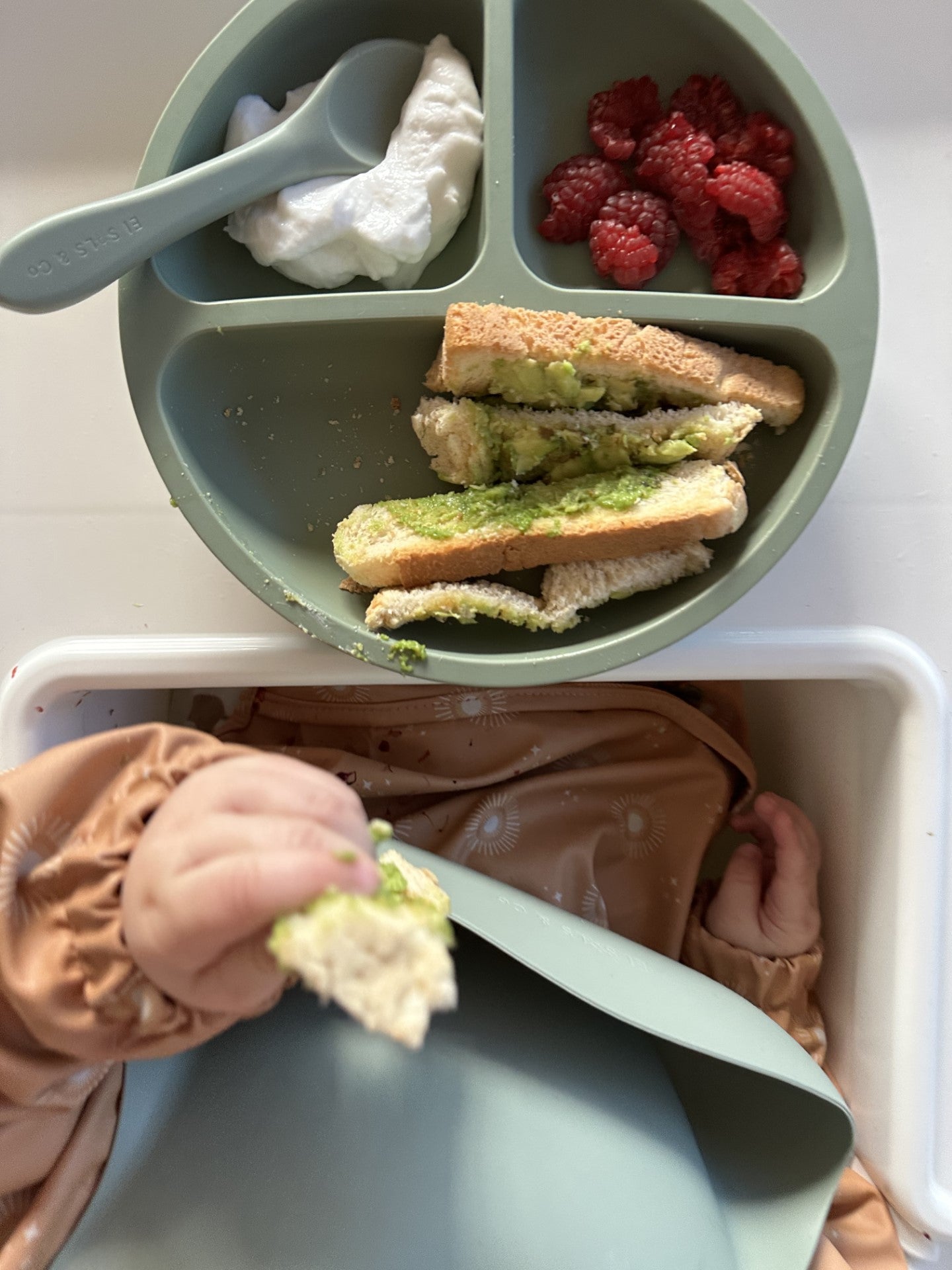 Suction Divider Plate Pistachio